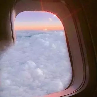 乐鱼app官网正式版下载手机app下载